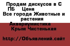 Продам дискусов в С-ПБ. › Цена ­ 3500-4500 - Все города Животные и растения » Аквариумистика   . Крым,Чистенькая